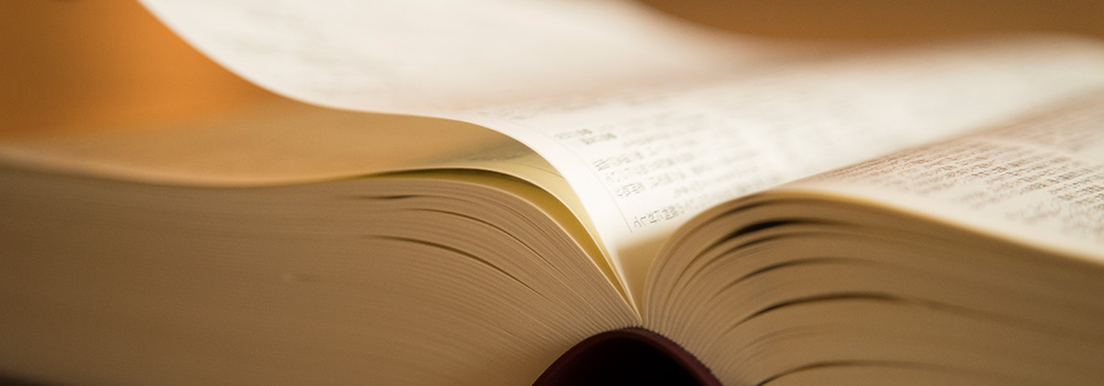 コンテンツビジュアル