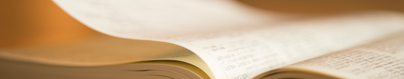 コンテンツビジュアル